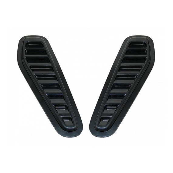Ornamente capota grila aerisire decorative