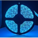 Banda Led Albastra 60 Leduri 5050/Metru, 24V, Rezistenta La Apa, Rola 5 Metri