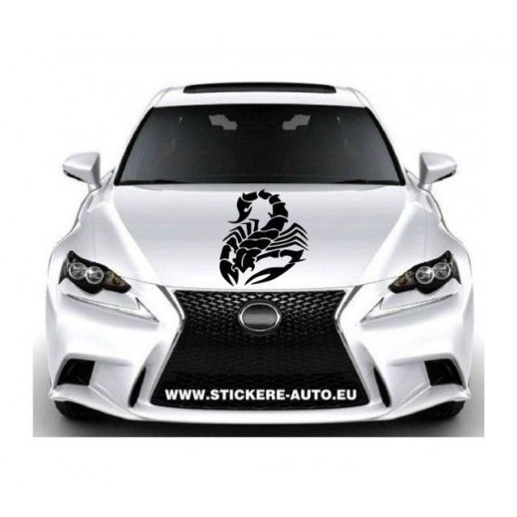 Sticker capota CM61