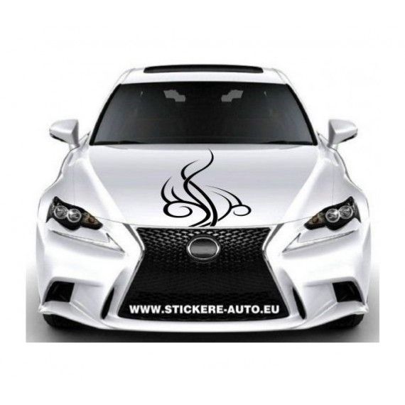 Sticker capota CM31