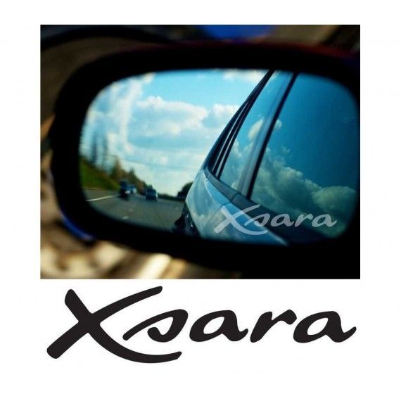 Stickere geam Etched Glass - Xsara (v2)