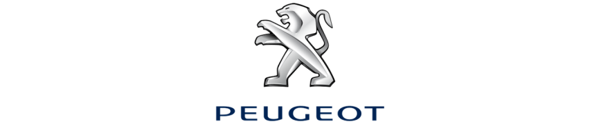 Holograme Peugeot