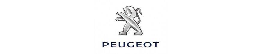 Praguri Peugeot