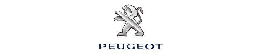 Lampi Led numar Peugeot