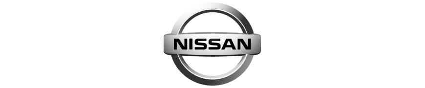 Lampi Led numar Nissan