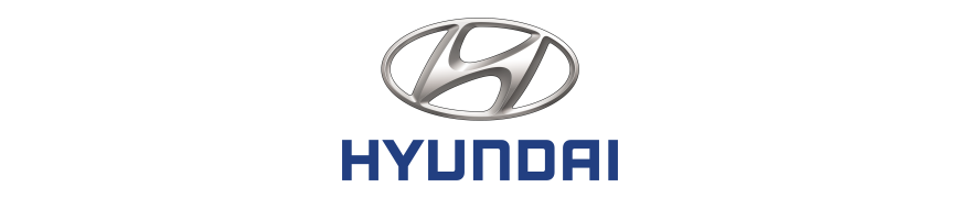 Lampi Led numar Hyundai