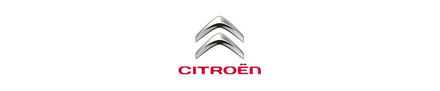 Holograme Citroen